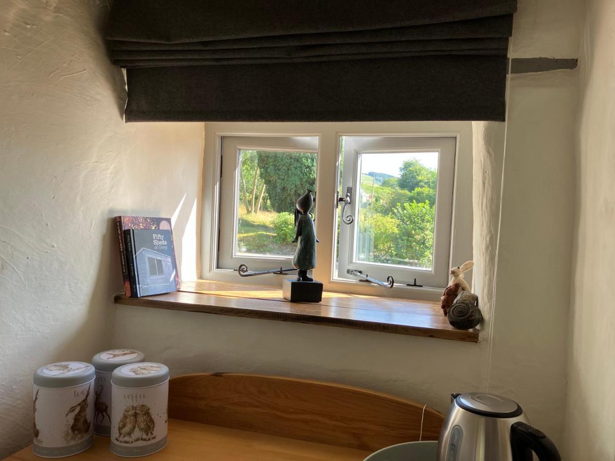 לינה וארוחת בוקר קורוון Hares Hideaway At Coed Moelfa מראה חיצוני תמונה