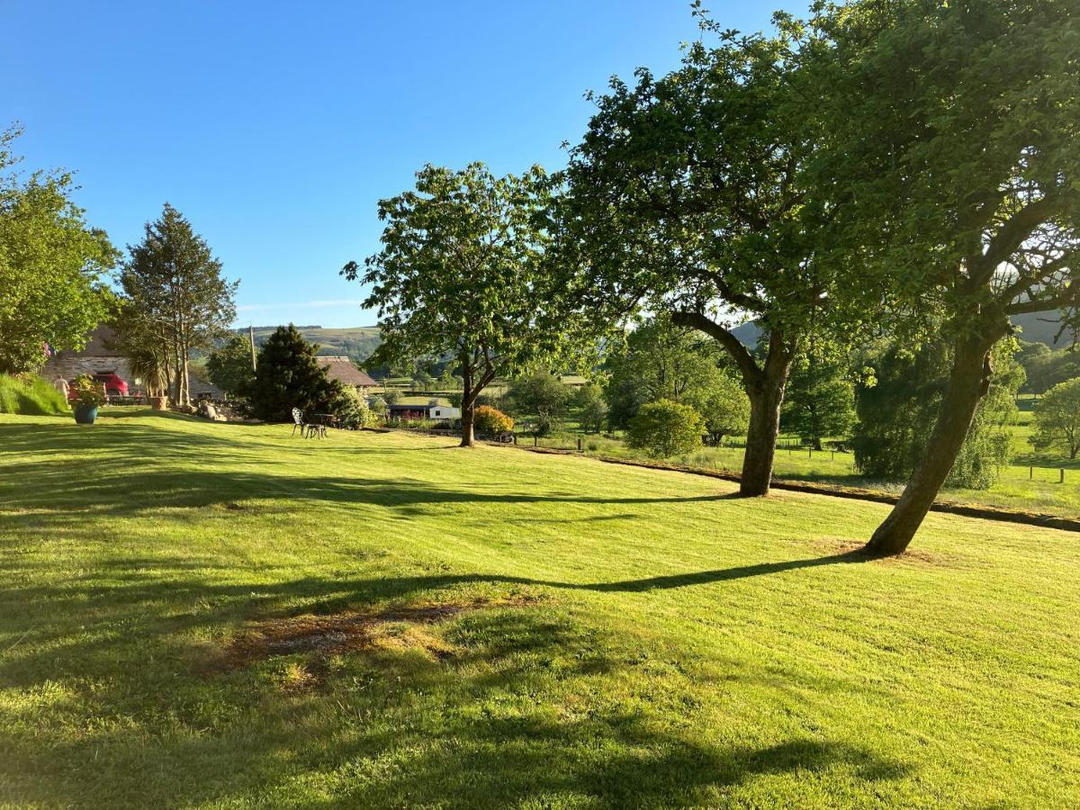 לינה וארוחת בוקר קורוון Hares Hideaway At Coed Moelfa מראה חיצוני תמונה