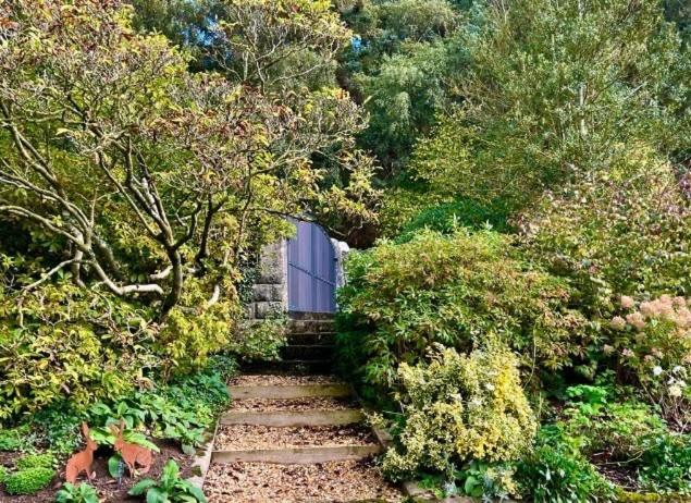 לינה וארוחת בוקר קורוון Hares Hideaway At Coed Moelfa מראה חיצוני תמונה